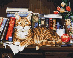 Картина за номерами "Кіт на книжковій полиці" BS4142 40&times;50 см 40625 фото
