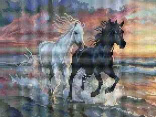 Алмазна мозаїка "Коні на узбережжі" 30*40 см 56288 фото
