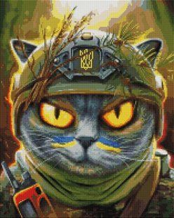Алмазна мозаїка "Котик розвідник Маріанна Пащук" 40*50 см 45050 фото